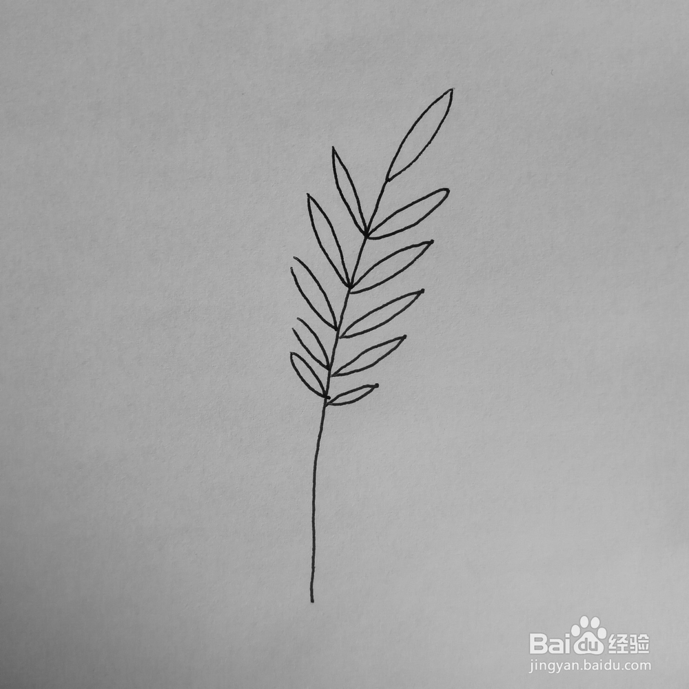 绿色盆栽简笔画怎么画