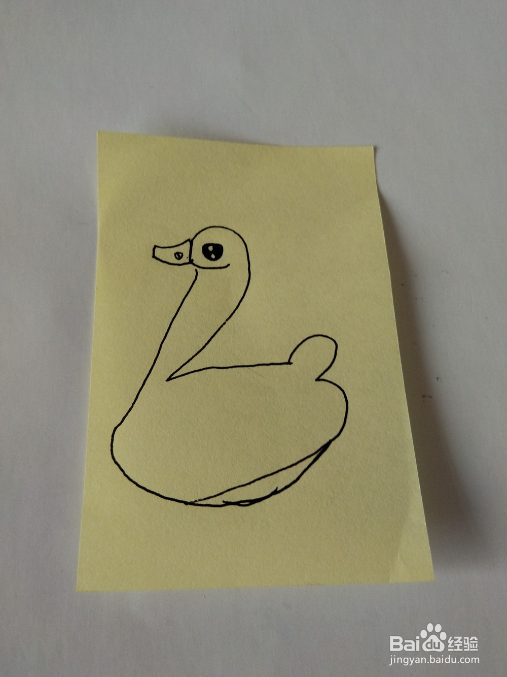 天鹅的简笔画这样画