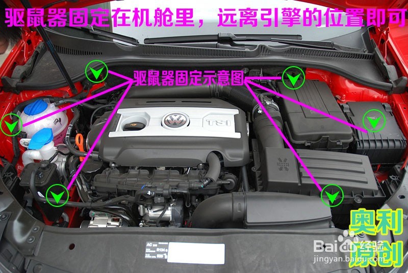 汽车怎样防止老鼠进入