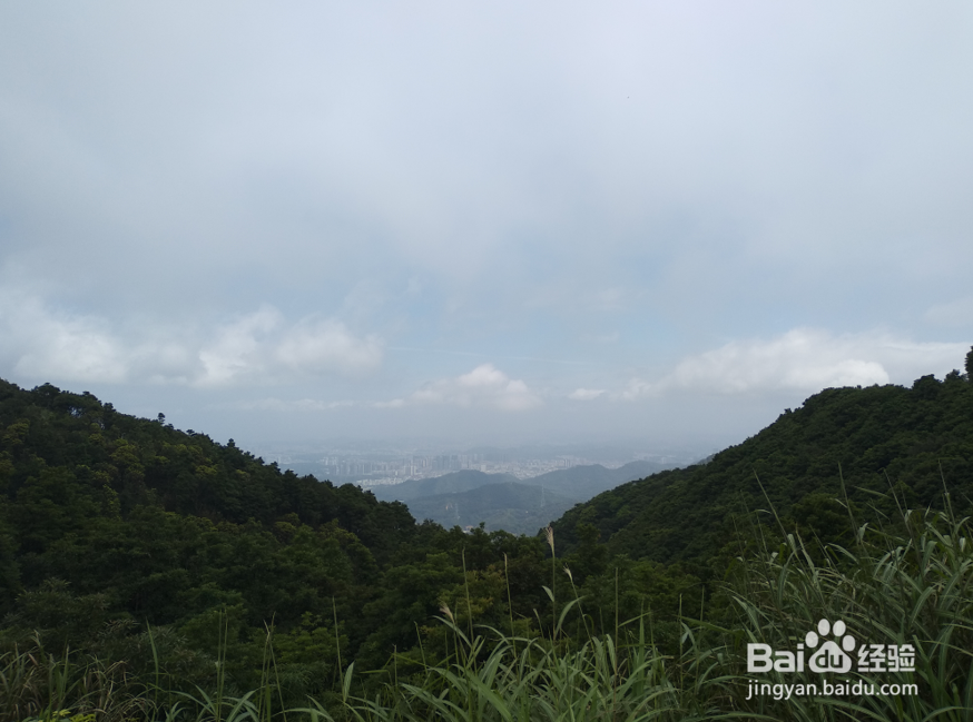 深圳大梧桐游玩路线