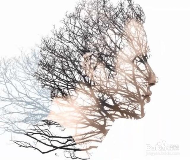 Photoshop飞鸟双重曝光效果