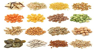 冬季养生小常识