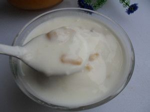 苹果粒酸奶怎么做