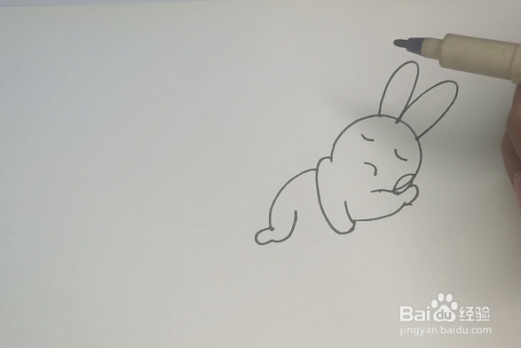 睡觉的小兔简笔画图片