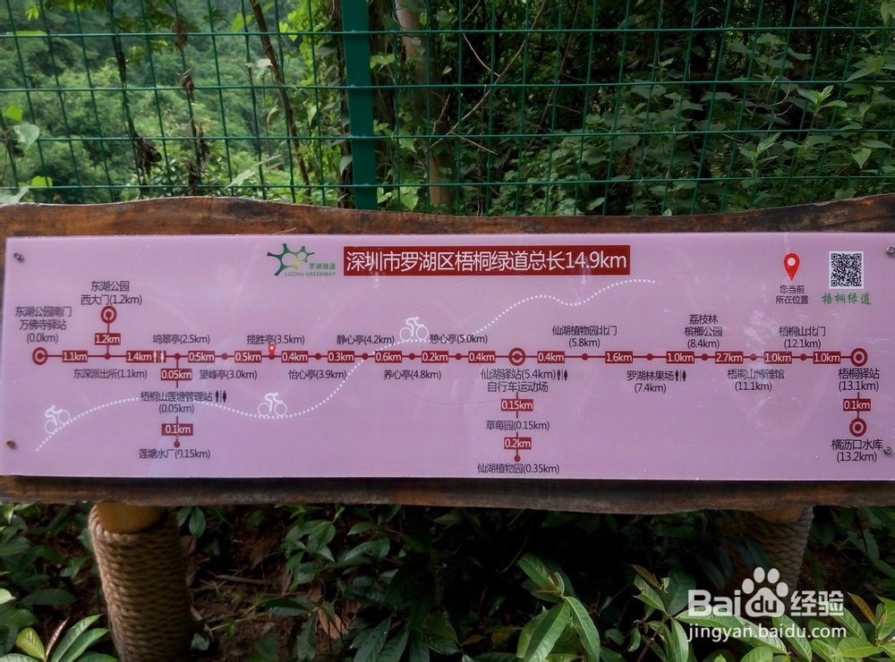 深圳有哪些好玩又免费的地方?