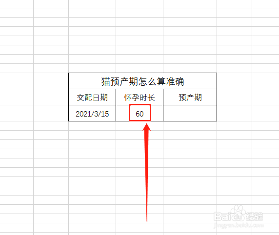 猫预产期怎么算准确