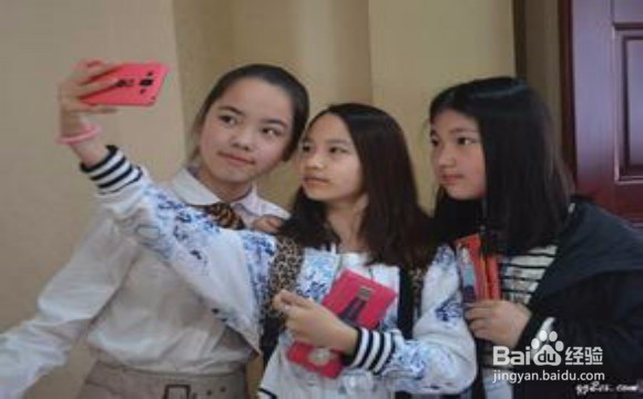 如何组织合作学习心得体会