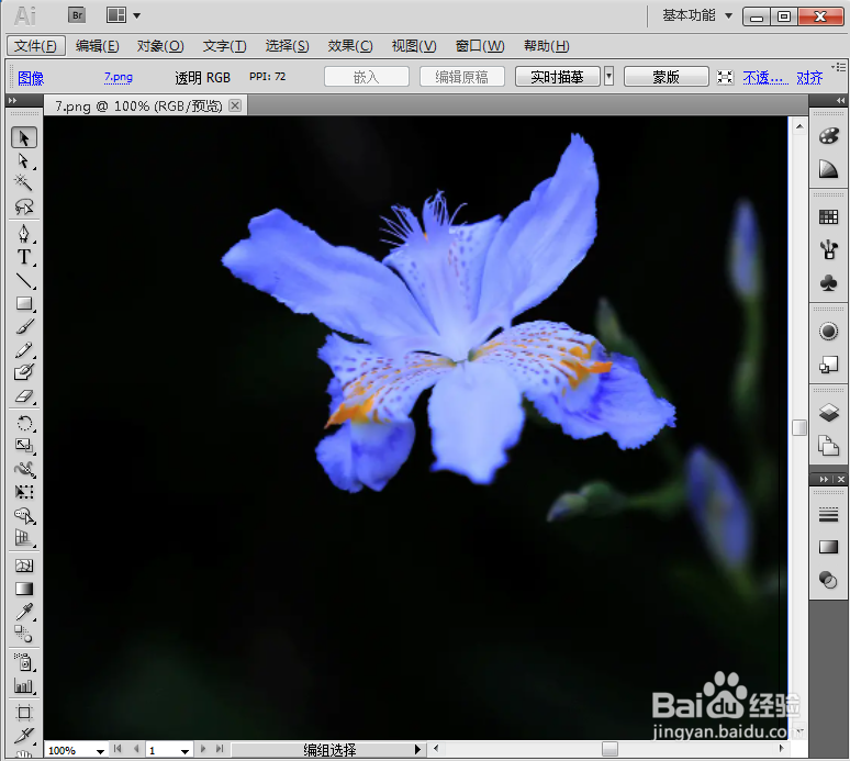 给文字添加扭转和内发光效果