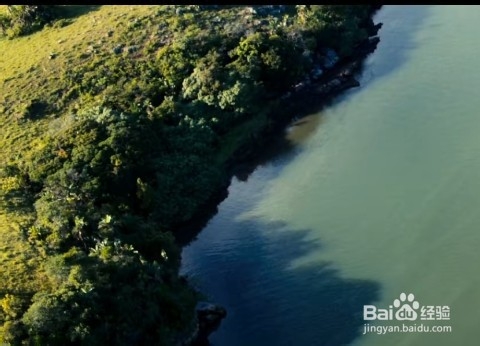 爱奇艺弹幕怎么开启和关闭