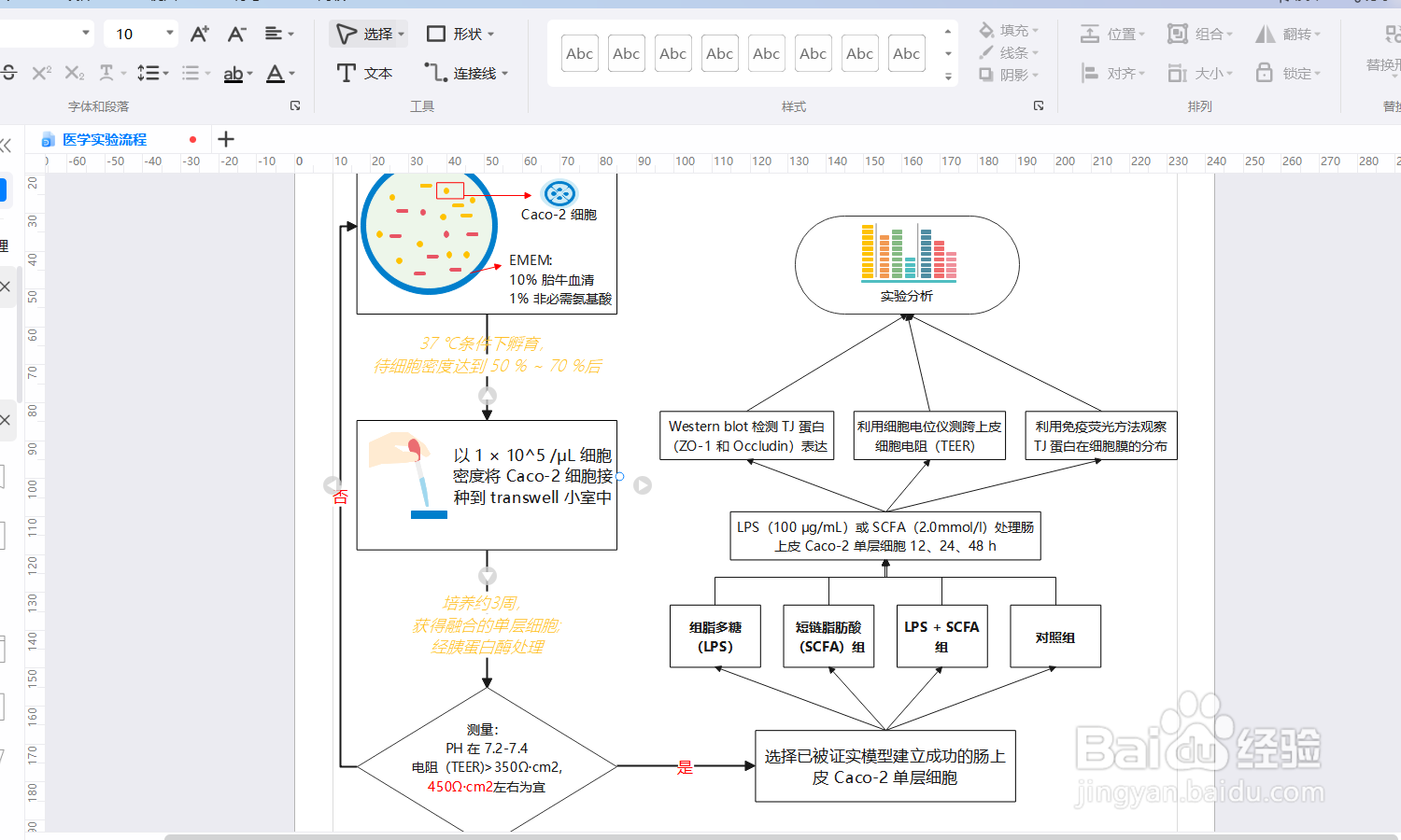 如何用亿图图示绘制一个“医学实验流程”