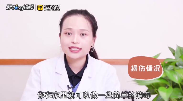 狗被车撞了怎么恢复