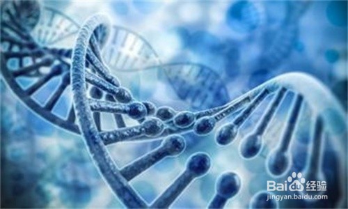 基因疗法和活细胞疗法