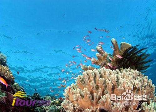 卡帕莱岛旅游攻略