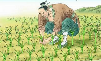 如何让孩子爱上看书