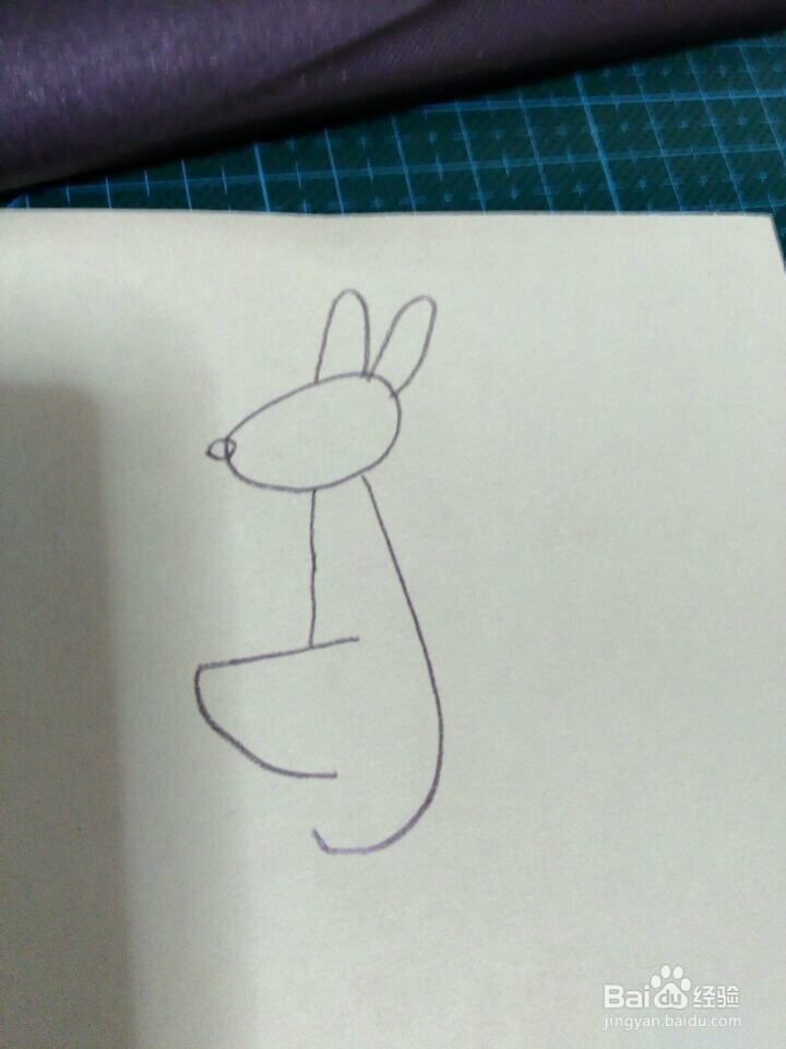 简笔画---袋鼠