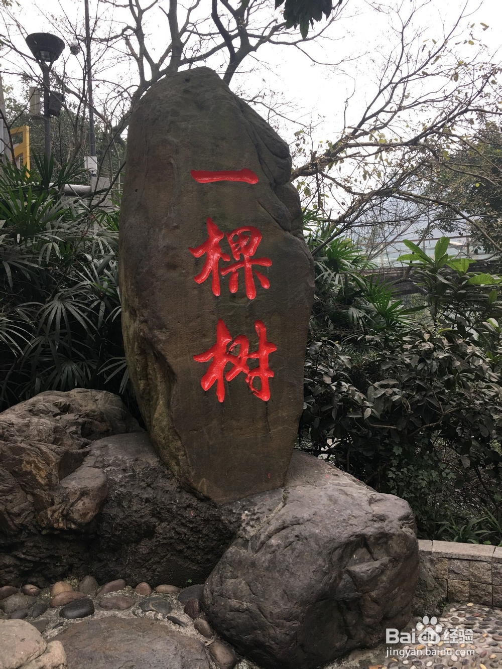 如何观赏重庆的夜景?