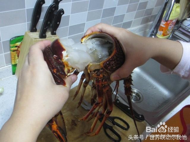 澳洲龙虾料理
