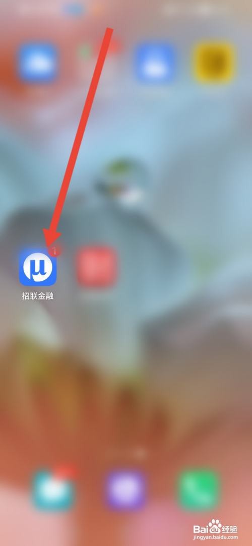 如何使用招联金融APP进行账户挂失操作