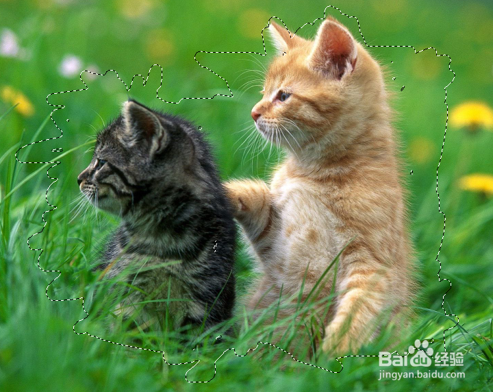 怎么使用PS中的快速蒙版？