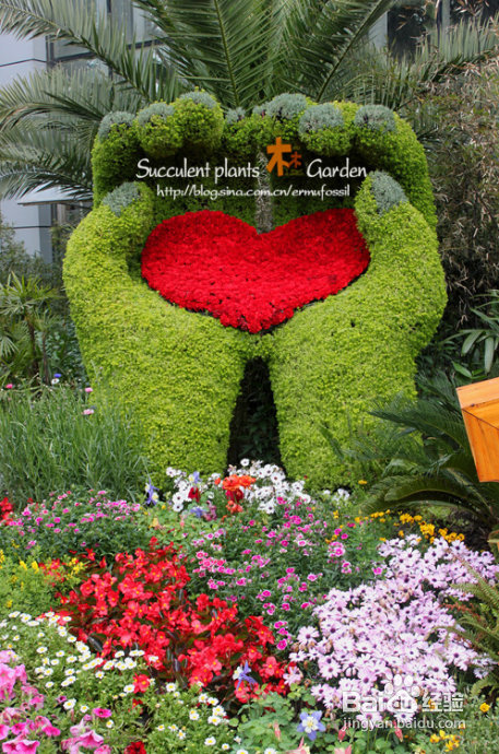 上海植物园（上）