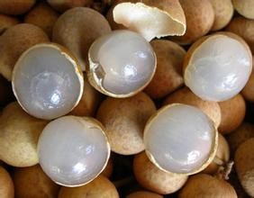 电脑族疲劳应注重养肝补血