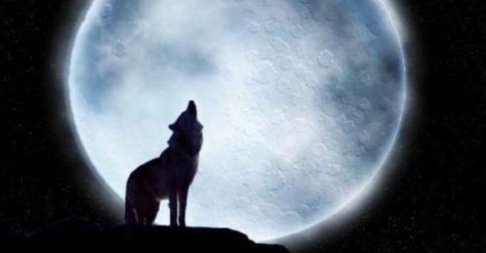 月狼老妖是什么东西