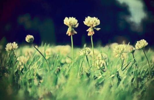 著名的现代诗歌