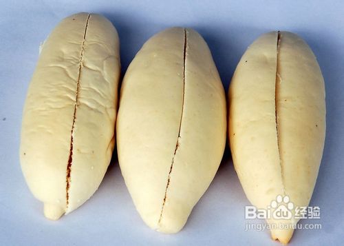 美国短毛猫有哪些禁止食用的食物