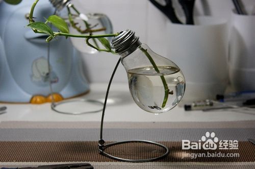 废品变惊喜—教你制作灯泡小花瓶