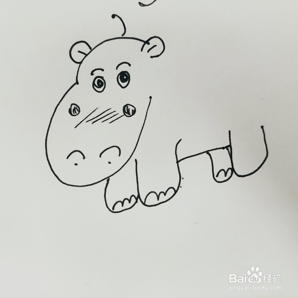 怎么来画一只卡通河马简笔画？