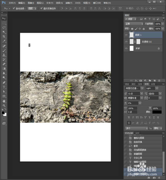 PS中怎样快速把多张图片列表放到一个新文件中？