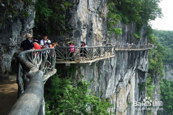 【张家界旅游攻略收集】张家界交通攻略