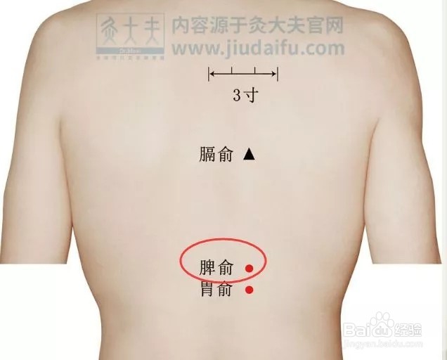 不要再为吃不胖而沾沾自喜，这是“胃强脾弱”