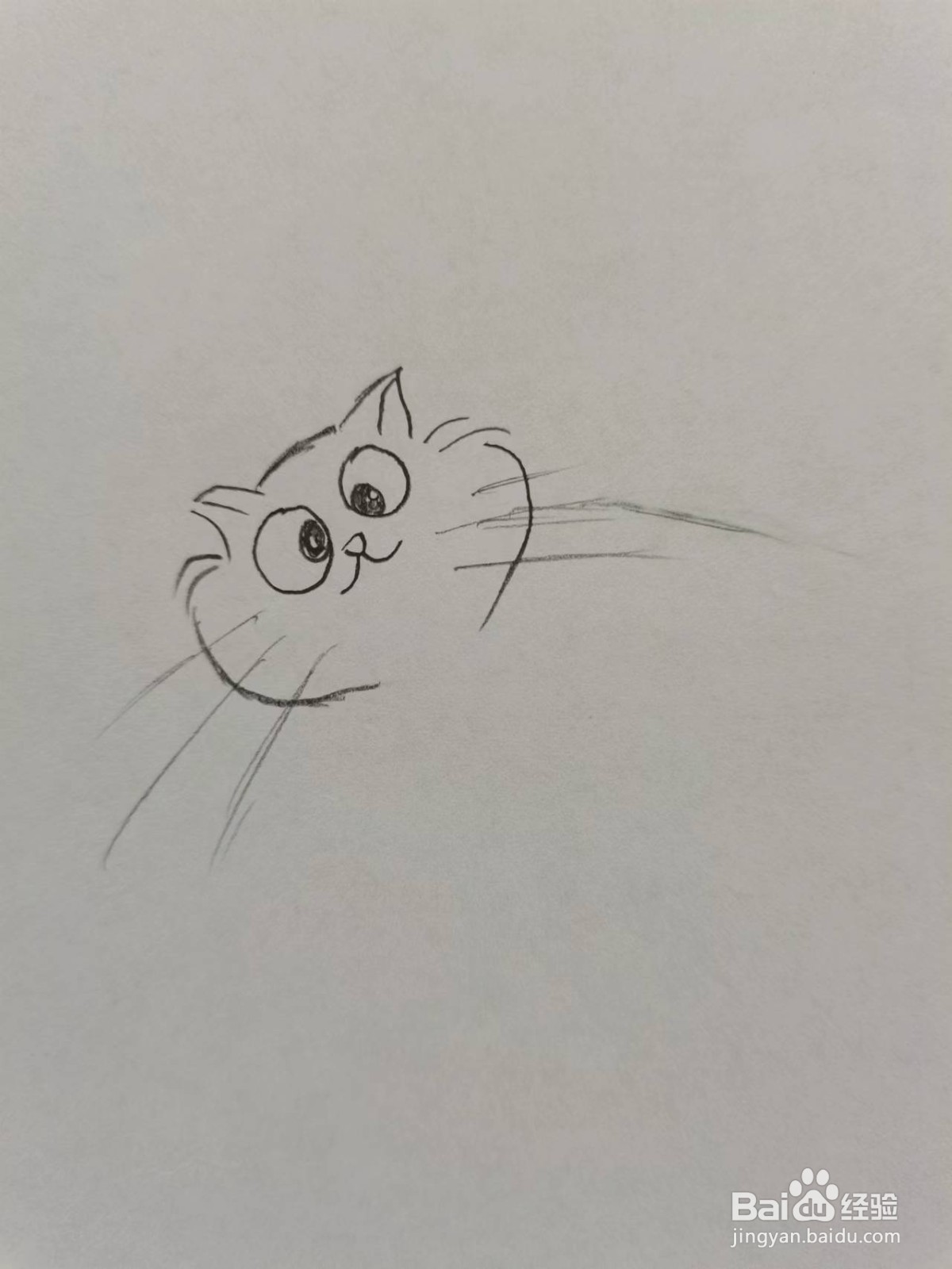 手绘简单的肥猫