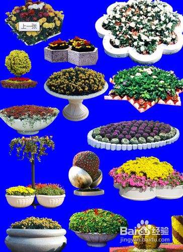 花坛装饰技法 百度经验 花坛装饰技法 百度经验