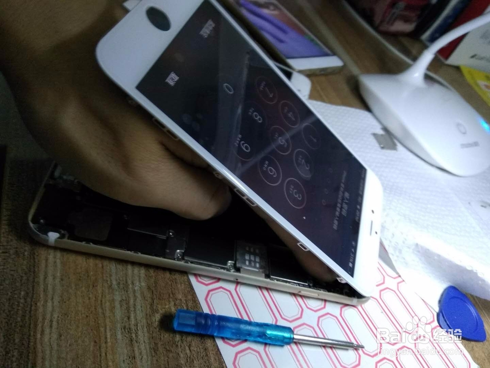 iphone苹果6/6P换屏教程