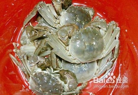 大闸蟹的保存攻略