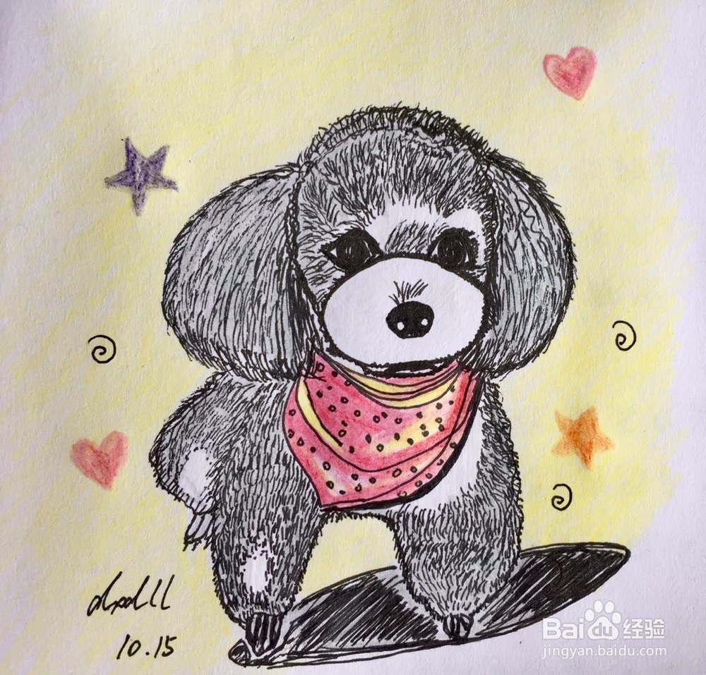 茉莉彩铅手绘之萌宠泰迪