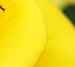 奔四族多吃的九种平价养生食物1