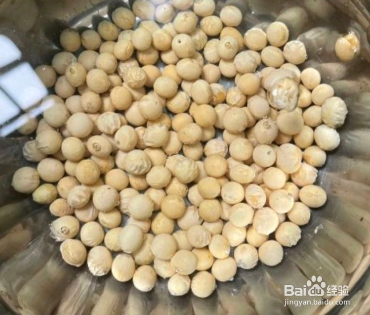 教你做苦瓜黄豆煲排骨汤