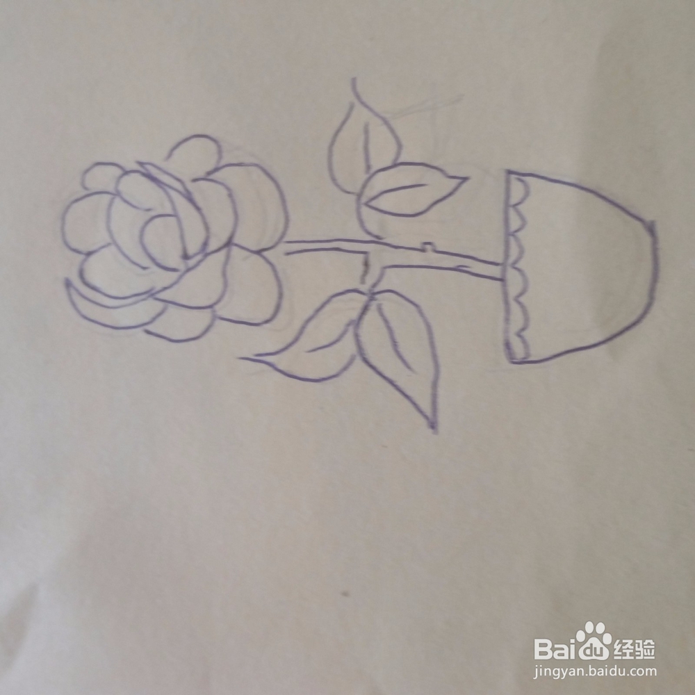 牡丹花简笔画