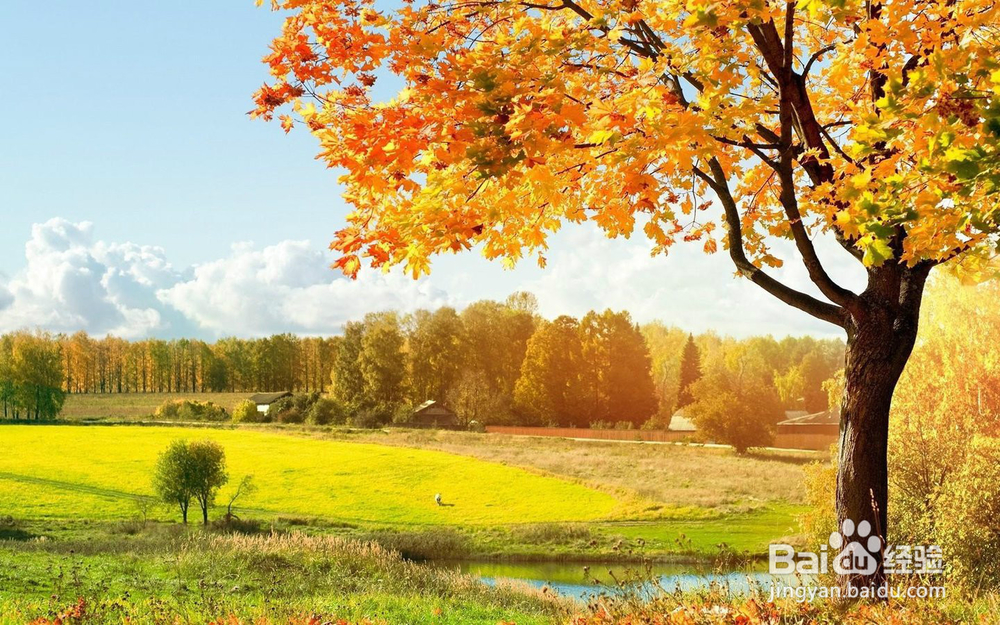 ps给图片加白框