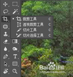 ps中怎么将图片拉直