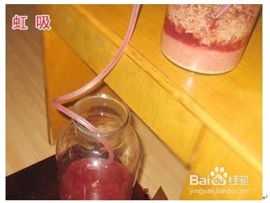 如何自己动手酿造干红葡萄酒