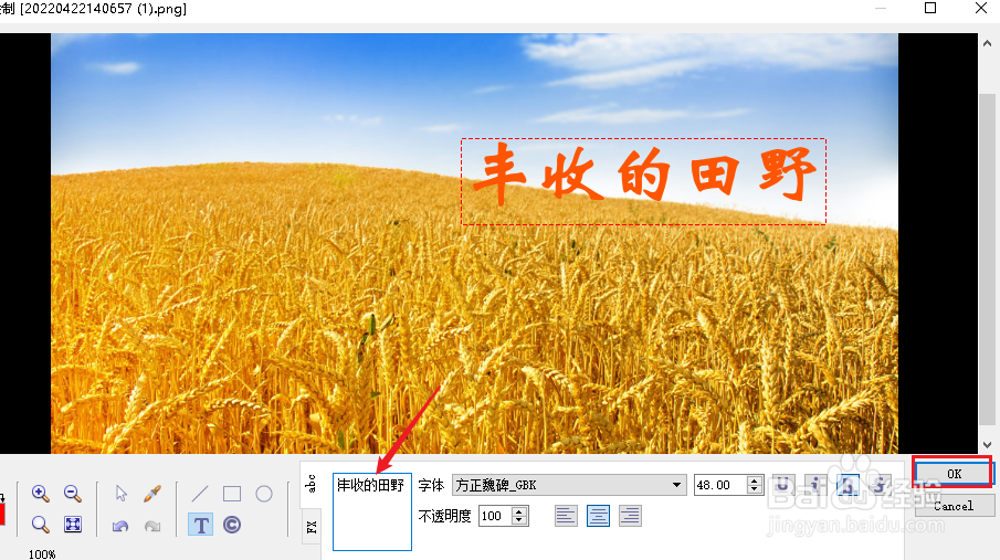 XnViewMP怎么在图片上写字