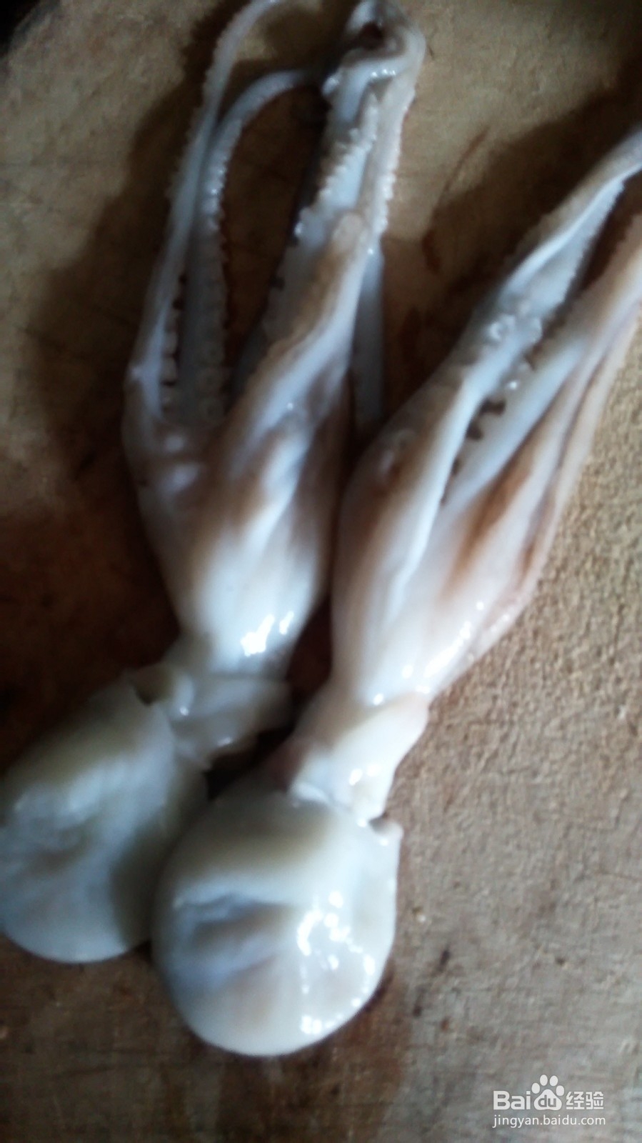 章鱼炖萝卜的做法