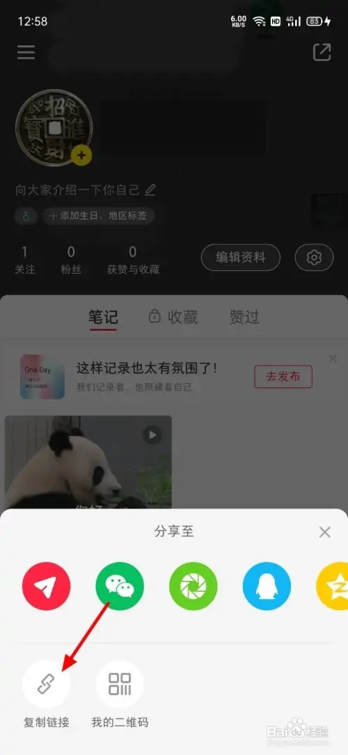 小红书怎么复制主页链接