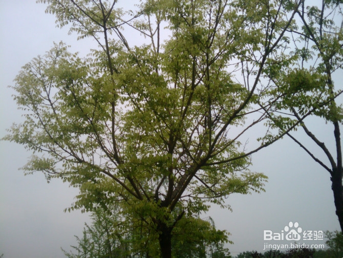 如何获取别人的qq，密码