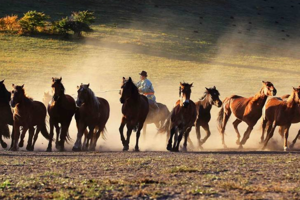 二胡曲万马奔腾谁创作 并作简单介绍