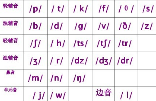 音节结构中的必有要素